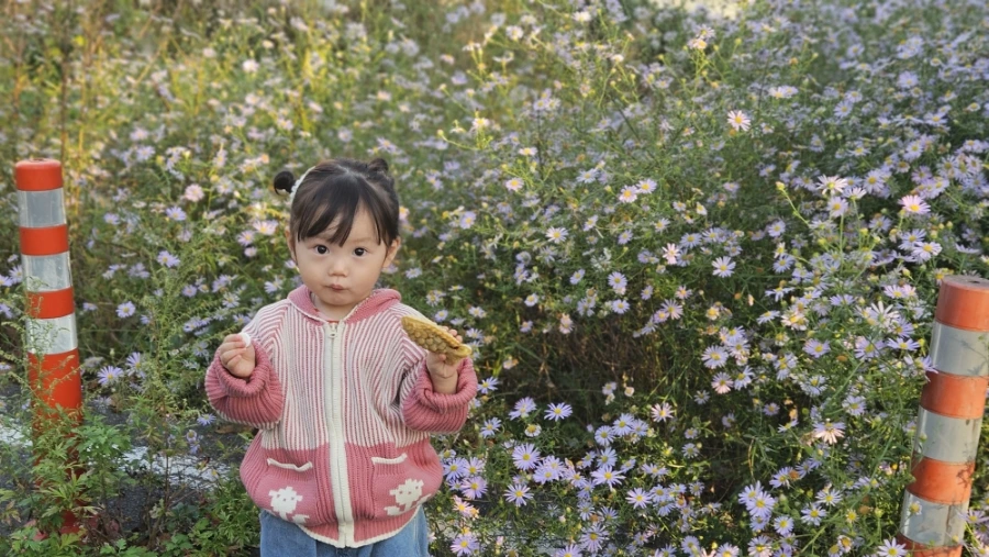 20241030%EF%BC%BF163051.jpg?type=w1