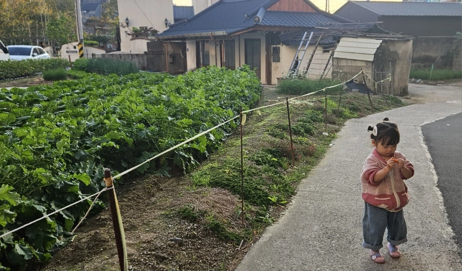 20241030%EF%BC%BF165306.jpg?type=w1