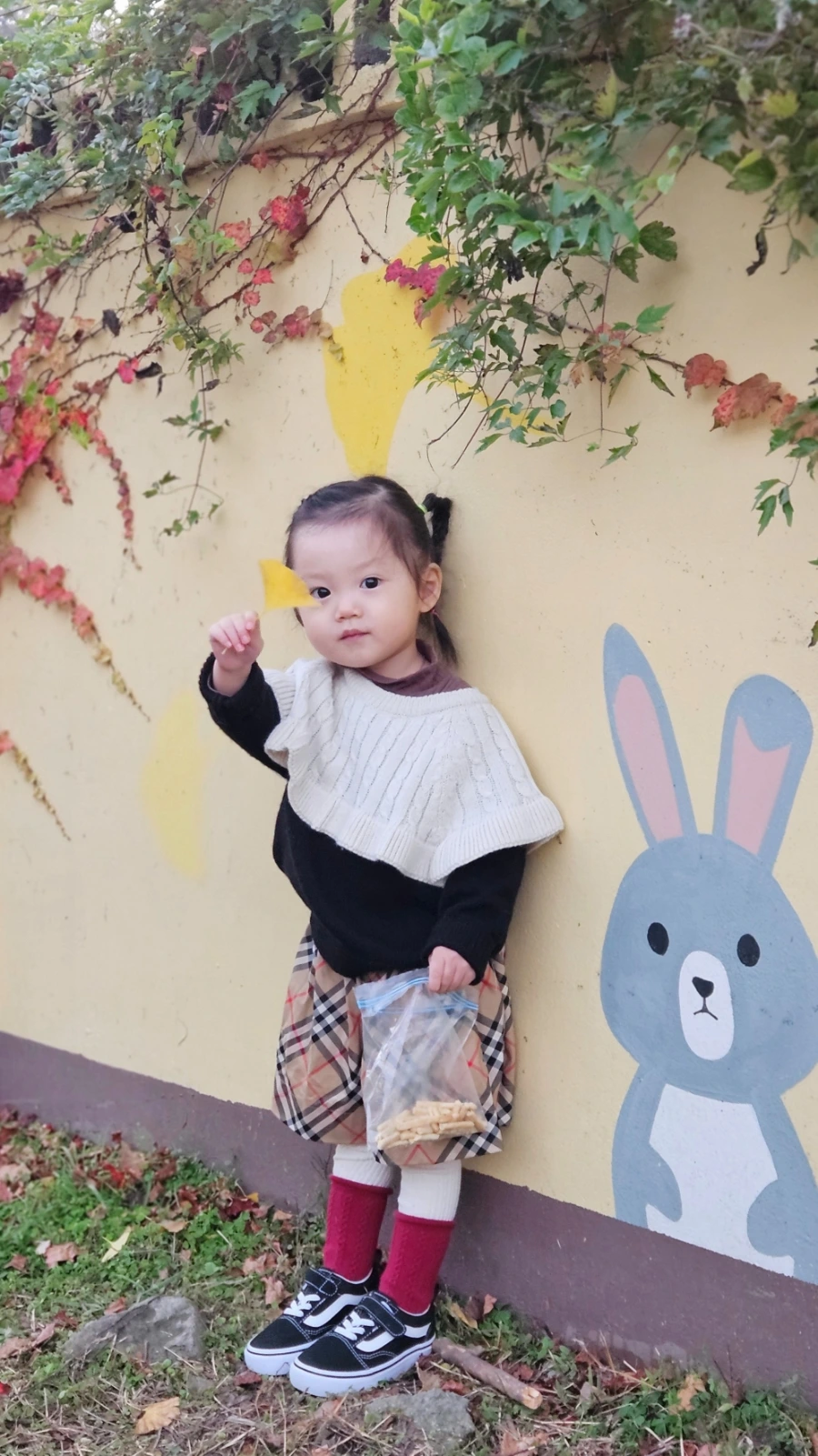 SNOW%EF%BC%BF20241113%EF%BC%BF192141%EF%BC%BF969.jpg?type=w1