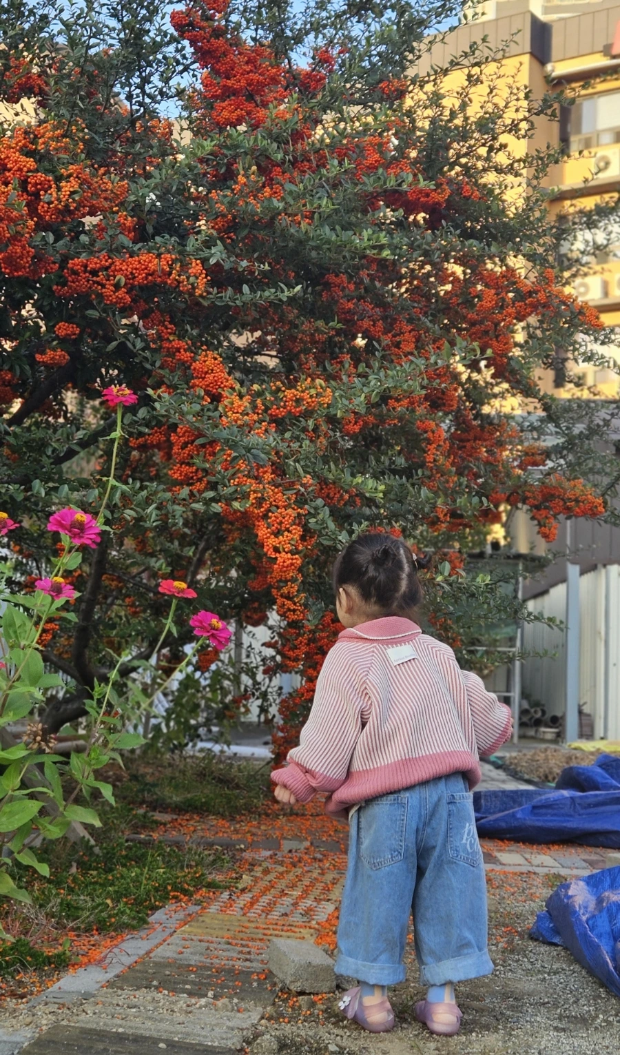 20241030%EF%BC%BF164404.jpg?type=w1