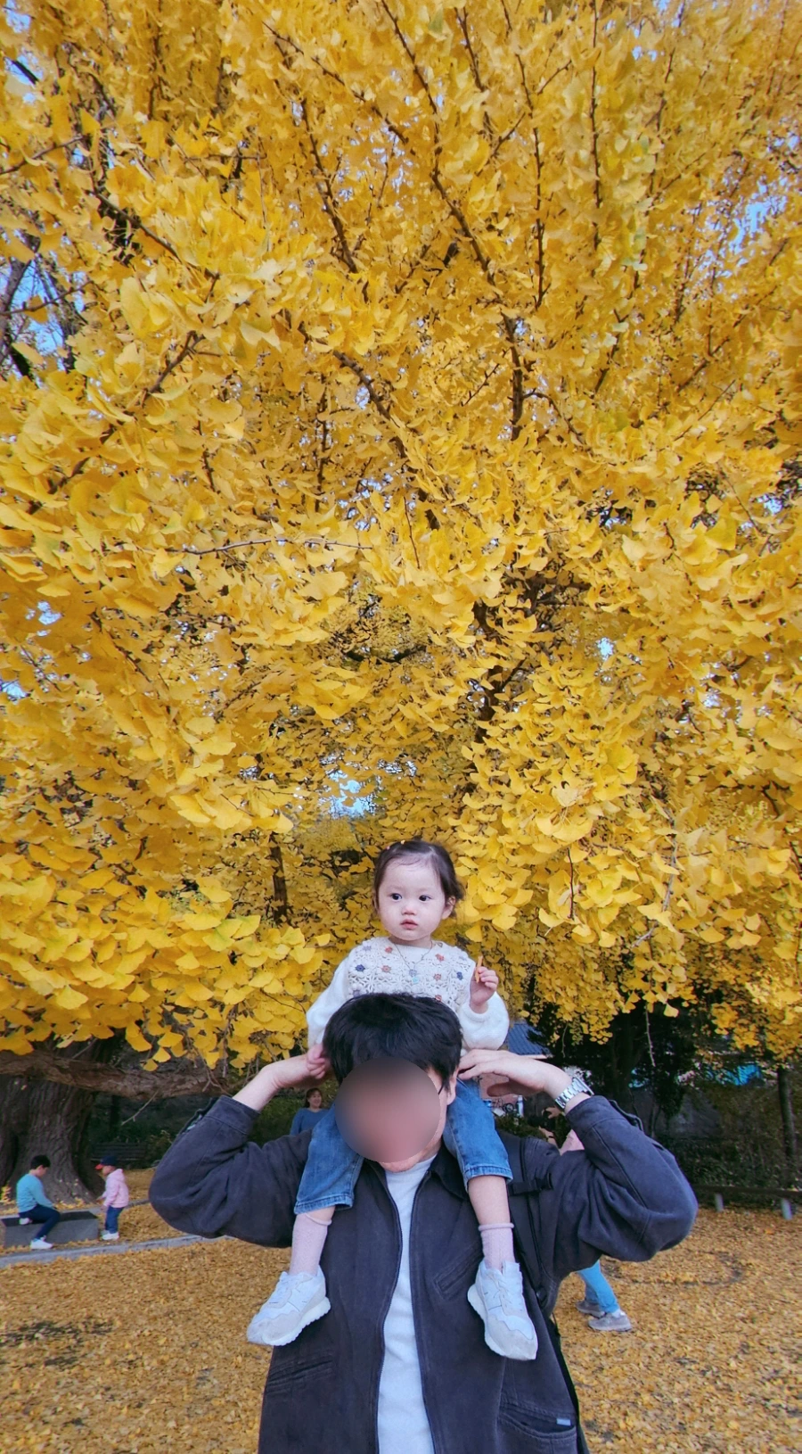 SE-ef93d3ae-9b9a-423d-9a0d-da4359cbe3f0.jpg?type=w1