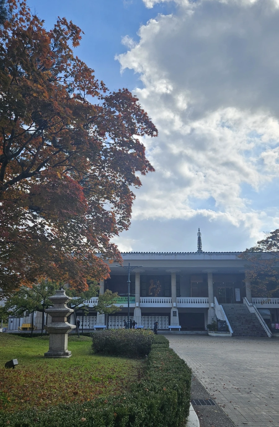 900%EF%BC%BF20241111%EF%BC%BF134414.jpg?type=w1