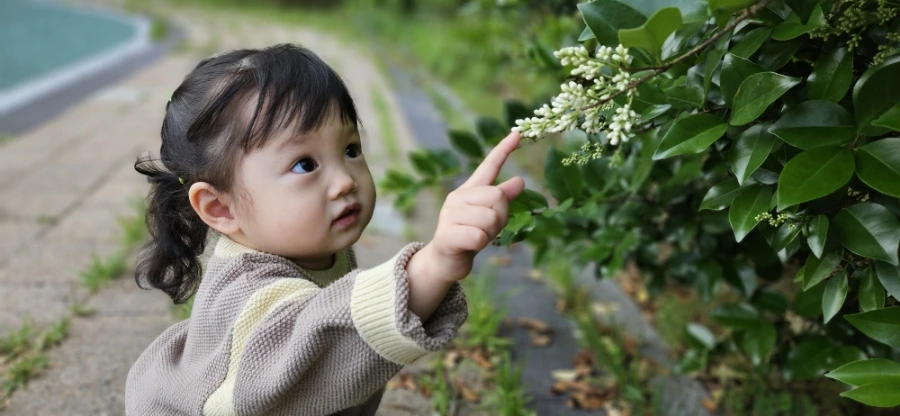 20240524%EF%BC%BF162715.jpg?type=w1