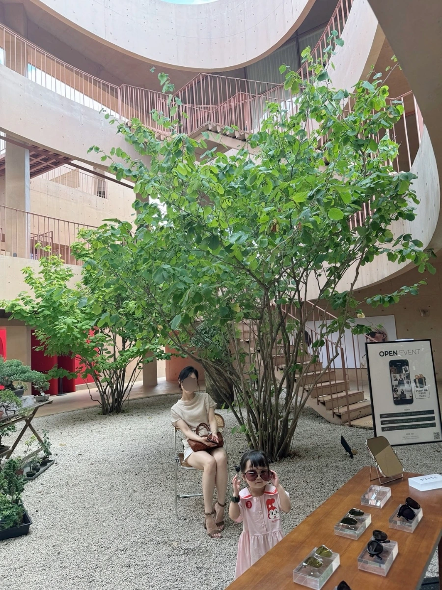 SE-5497a3dc-686e-11ef-b963-3913499eed18.jpg?type=w1