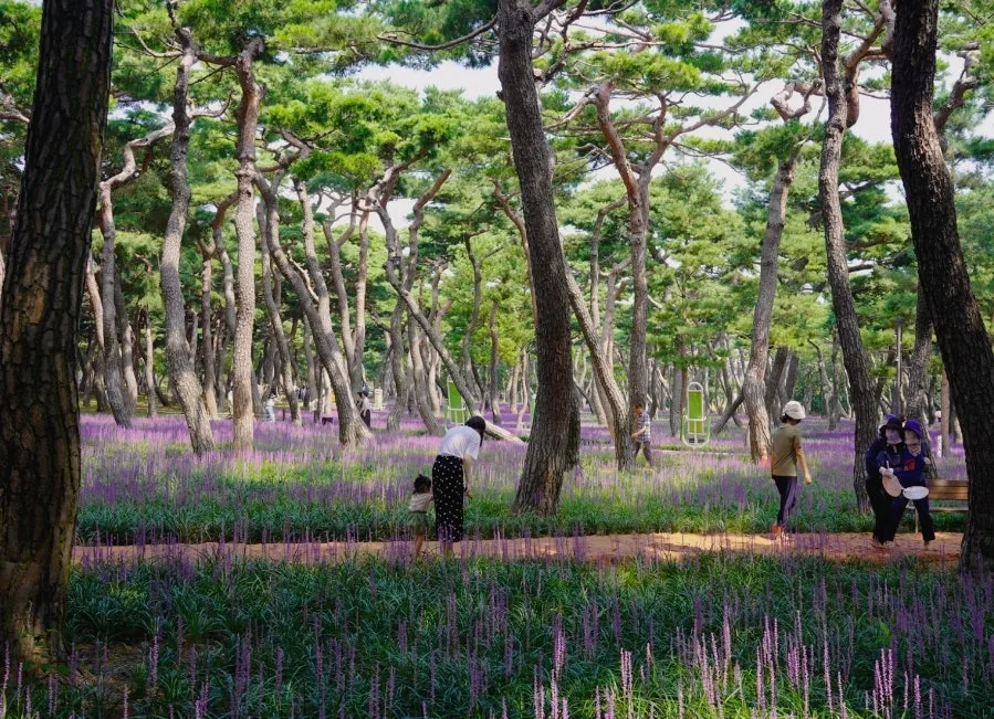 KakaoTalk_Photo_2025-04-22-13-45-30_024.jpeg?type=w1