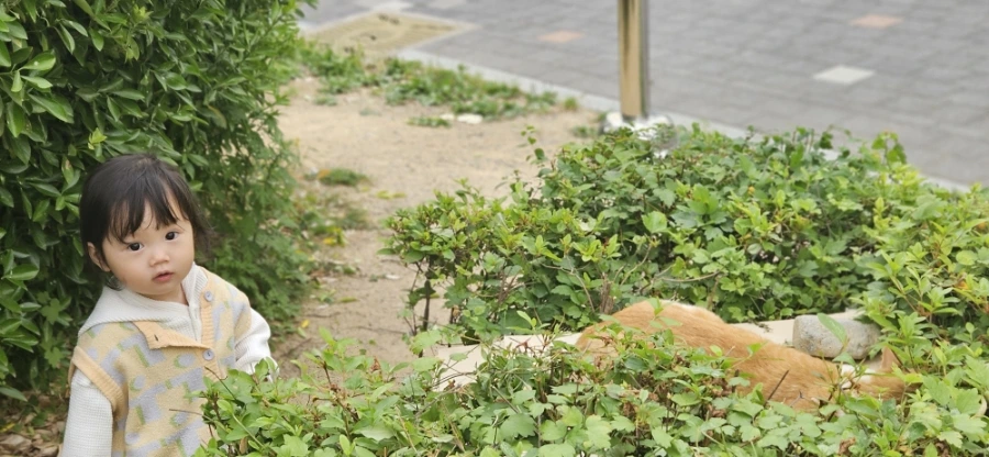 20240521%EF%BC%BF162311.jpg?type=w1