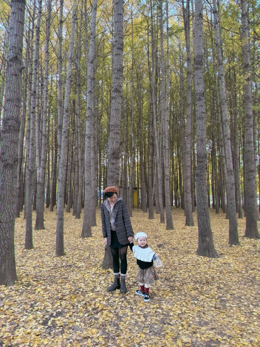 SNOW%EF%BC%BF20241113%EF%BC%BF224626%EF%BC%BF312.jpg?type=w1