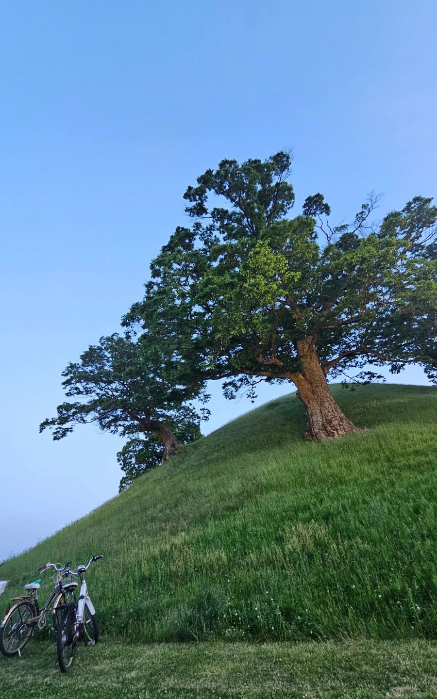 SE-c57762a6-8eb4-4b44-a5ae-34fd7e4a360c.jpg?type=w1