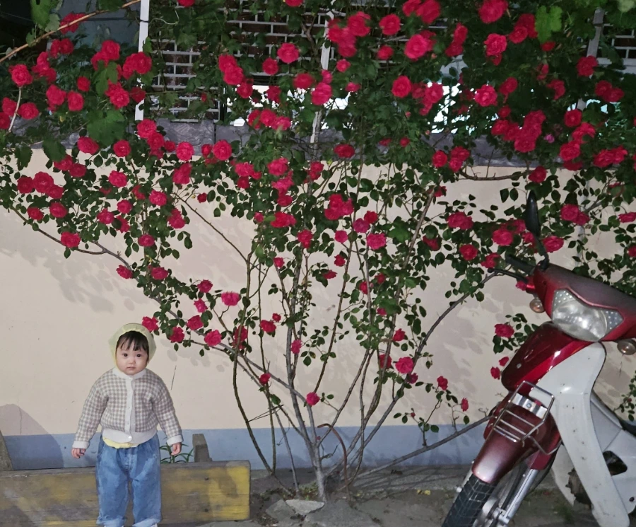 SNOW%EF%BC%BF20240511%EF%BC%BF205337%EF%BC%BF781.jpg?type=w1