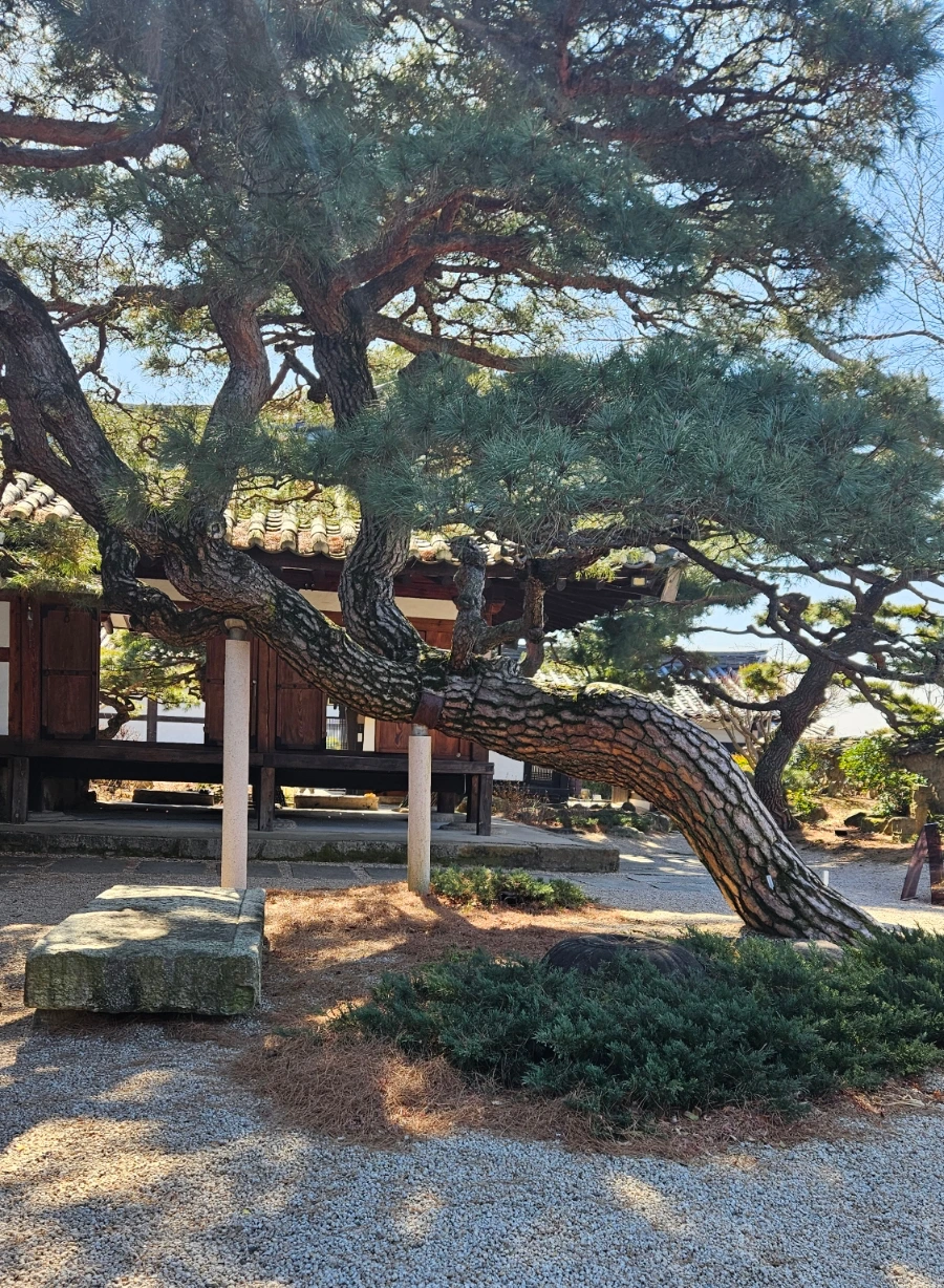 SE-22e90469-af6c-4be8-bcbc-14be76638ea3.jpg?type=w1