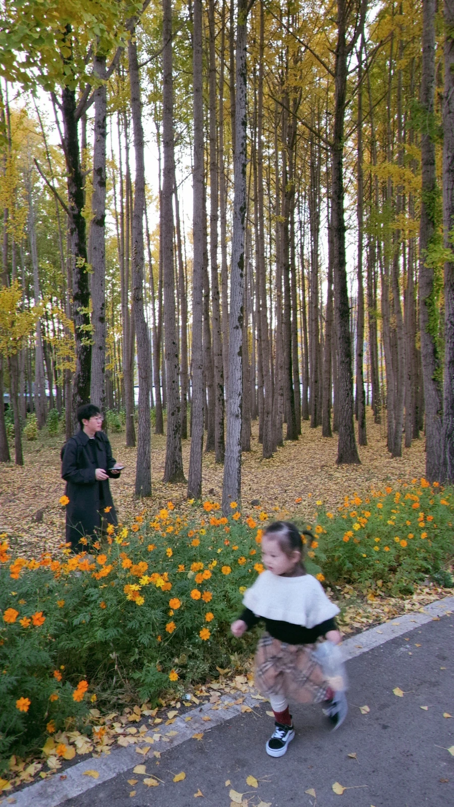 SNOW%EF%BC%BF20241113%EF%BC%BF192428%EF%BC%BF926.jpg?type=w1