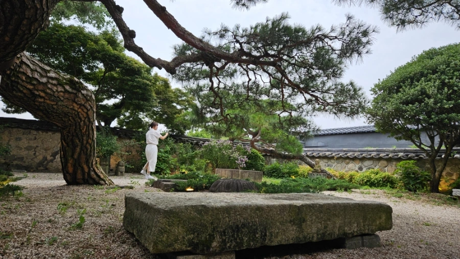 20240707%EF%BC%BF140549.jpg?type=w1