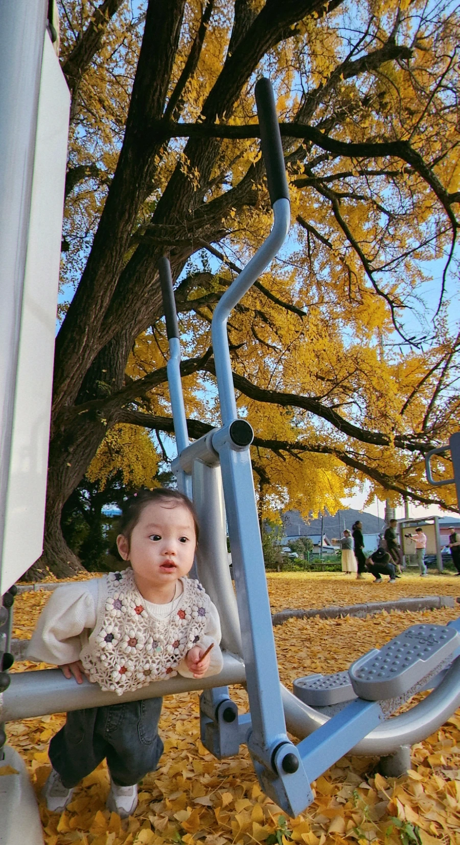 SE-fa0a8c7d-b4dc-4803-ae2e-d0c57acc7169.jpg?type=w1