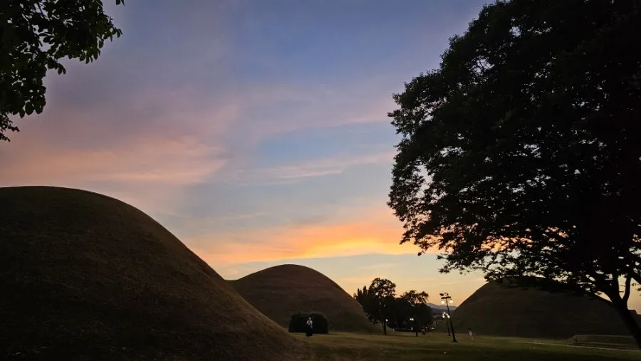 KakaoTalk_Photo_2025-04-22-13-45-29_012.jpeg?type=w1