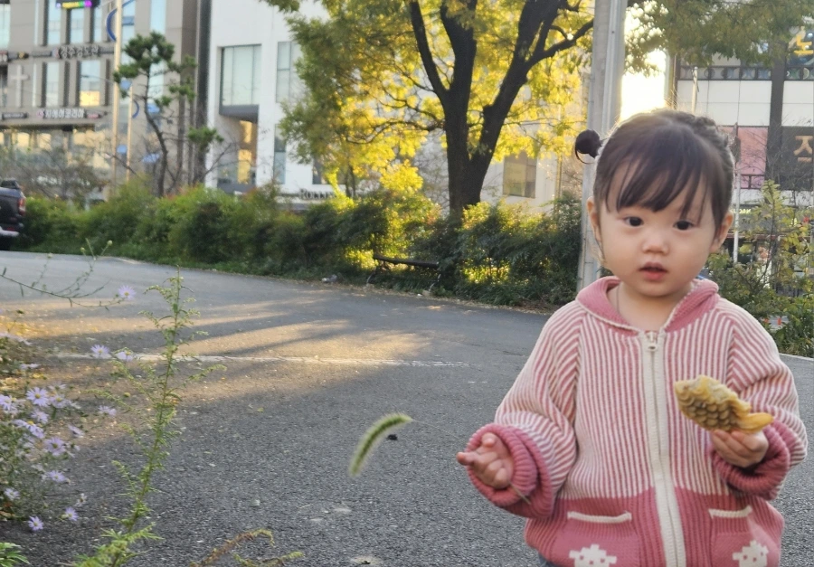 20241030%EF%BC%BF163548.jpg?type=w1