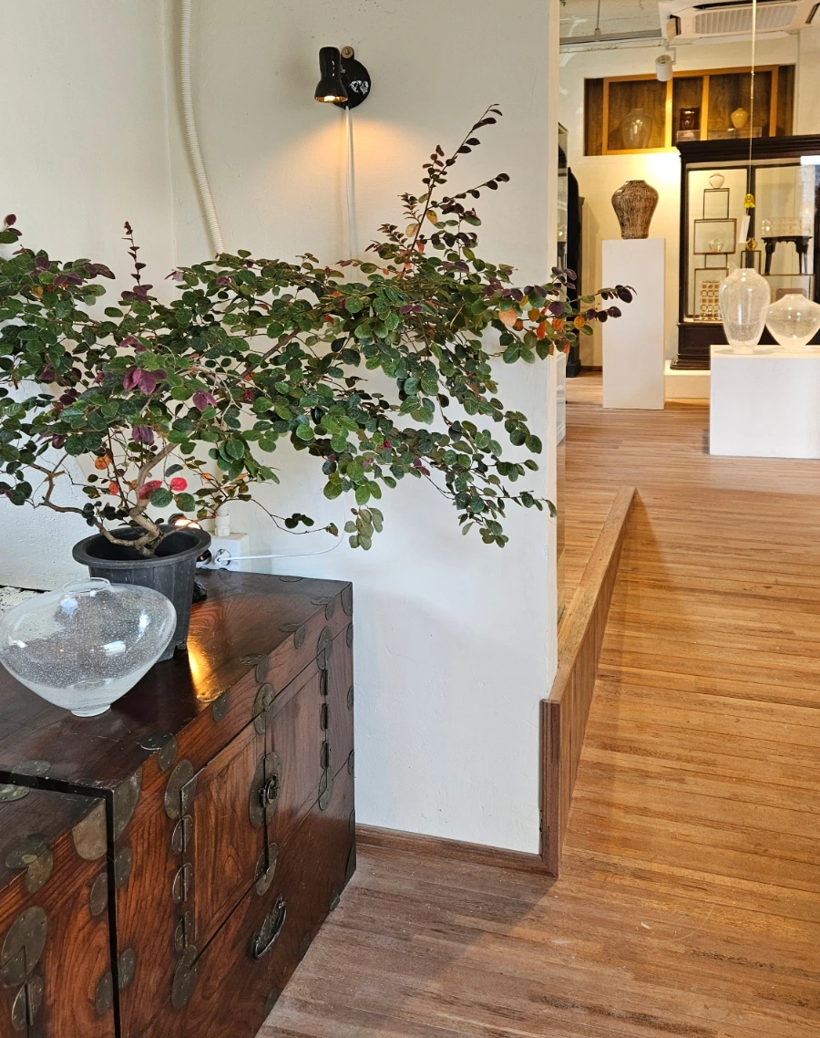 SE-12dee40d-d6f5-47cb-8429-5d53bd4c8d02.jpg?type=w1