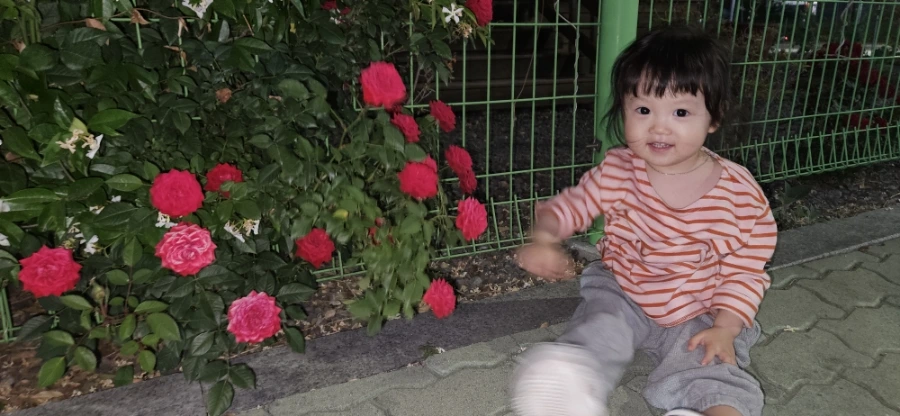 20240525%EF%BC%BF200358.jpg?type=w1