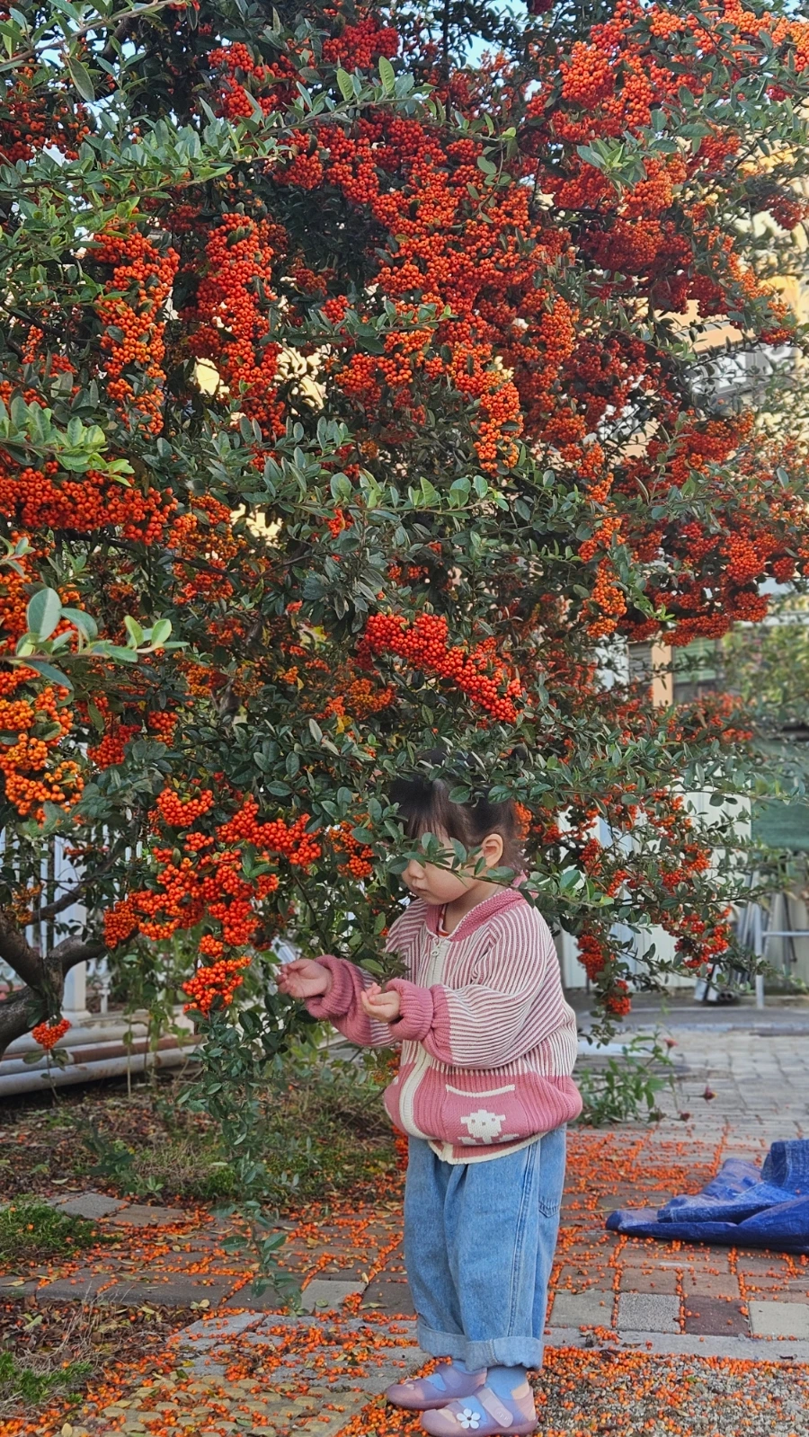 20241030%EF%BC%BF164708.jpg?type=w1