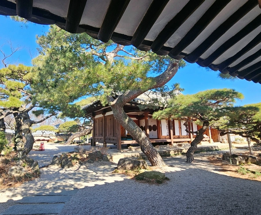 900%EF%BC%BFSNOW%EF%BC%BF20250222%EF%BC%BF085643%EF%BC%BF429.jpg?type=w1