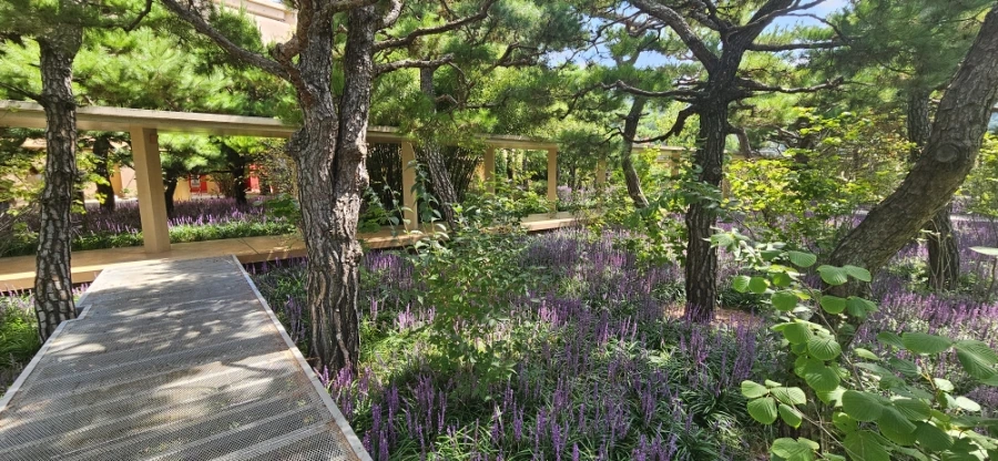 20240901%EF%BC%BF112428.jpg?type=w1