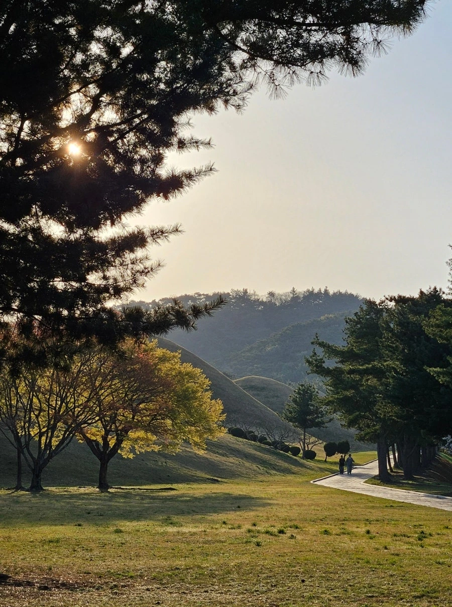 SE-2fd4ec39-82d8-4915-a9df-c7f47551f0df.jpg?type=w1