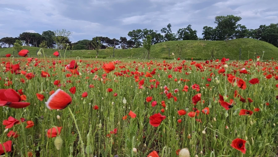 20240511%EF%BC%BF185842.jpg?type=w1