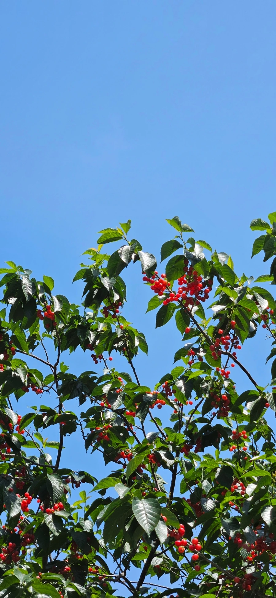 20240517%EF%BC%BF120636.jpg?type=w1