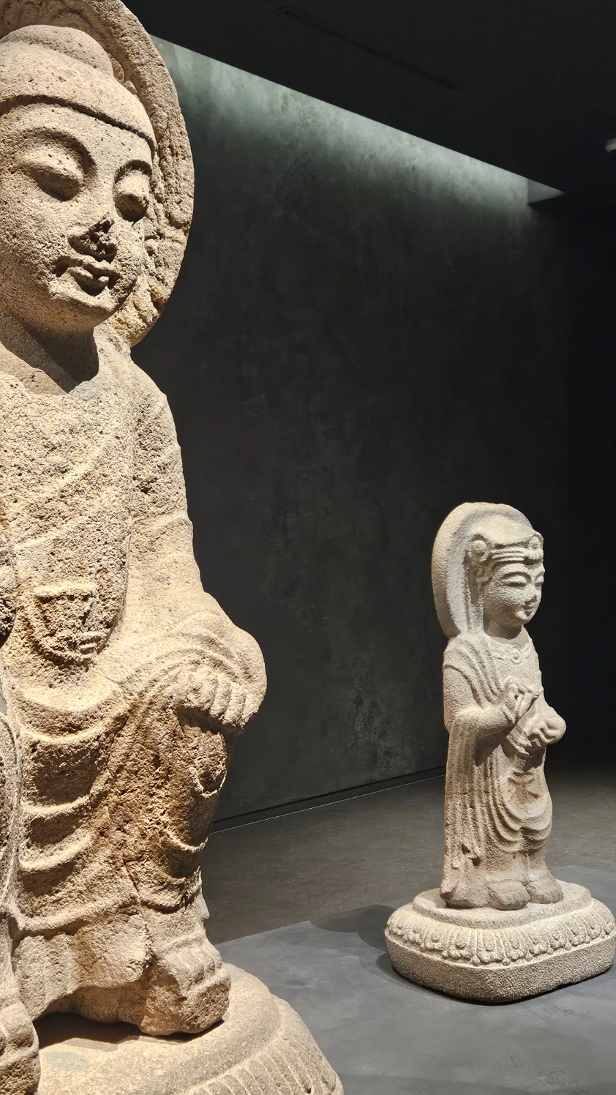 900%EF%BC%BF20241111%EF%BC%BF142551.jpg?type=w1