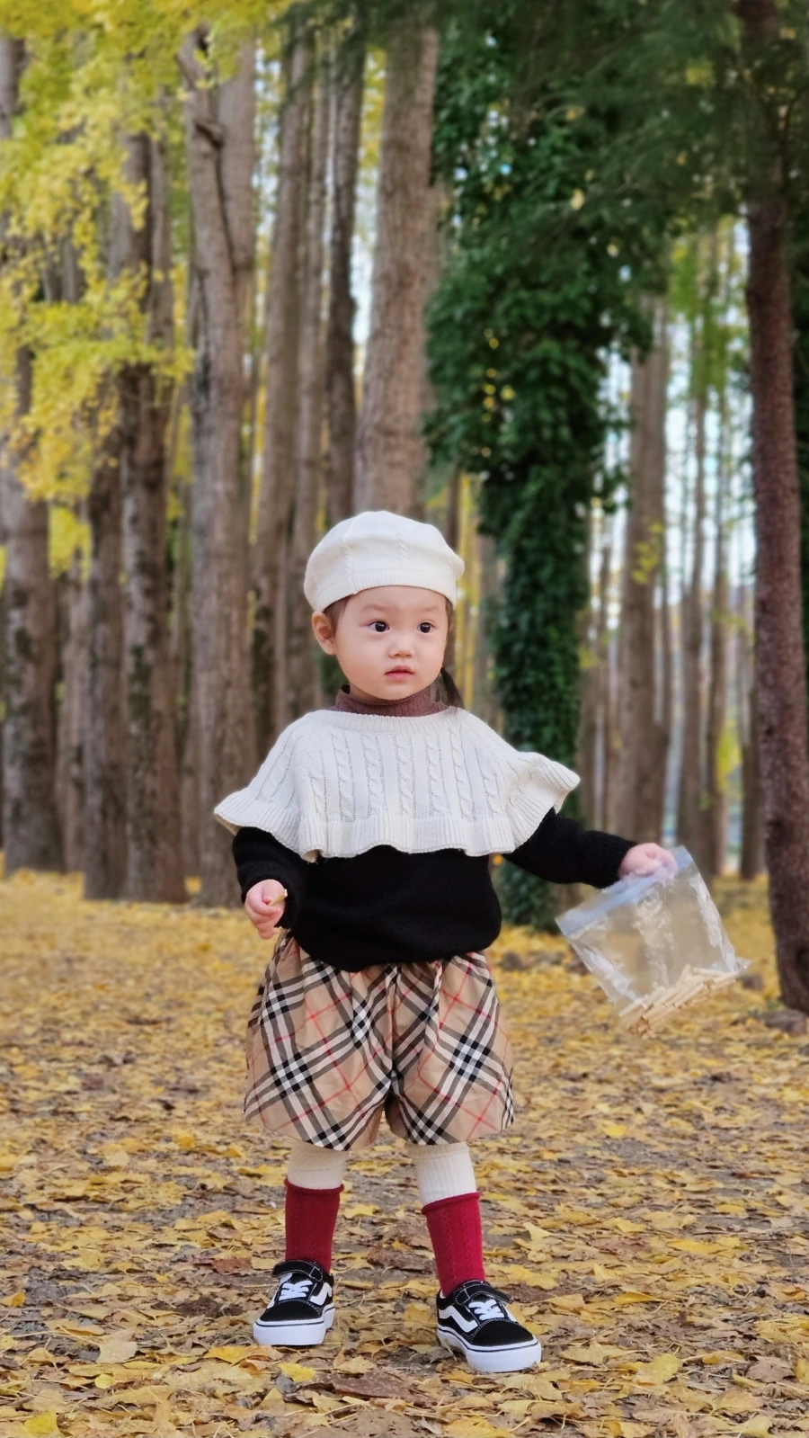 SNOW%EF%BC%BF20241113%EF%BC%BF192022%EF%BC%BF529.jpg?type=w1