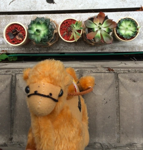 스크린샷 2015-09-18 오전 12.28.39.png