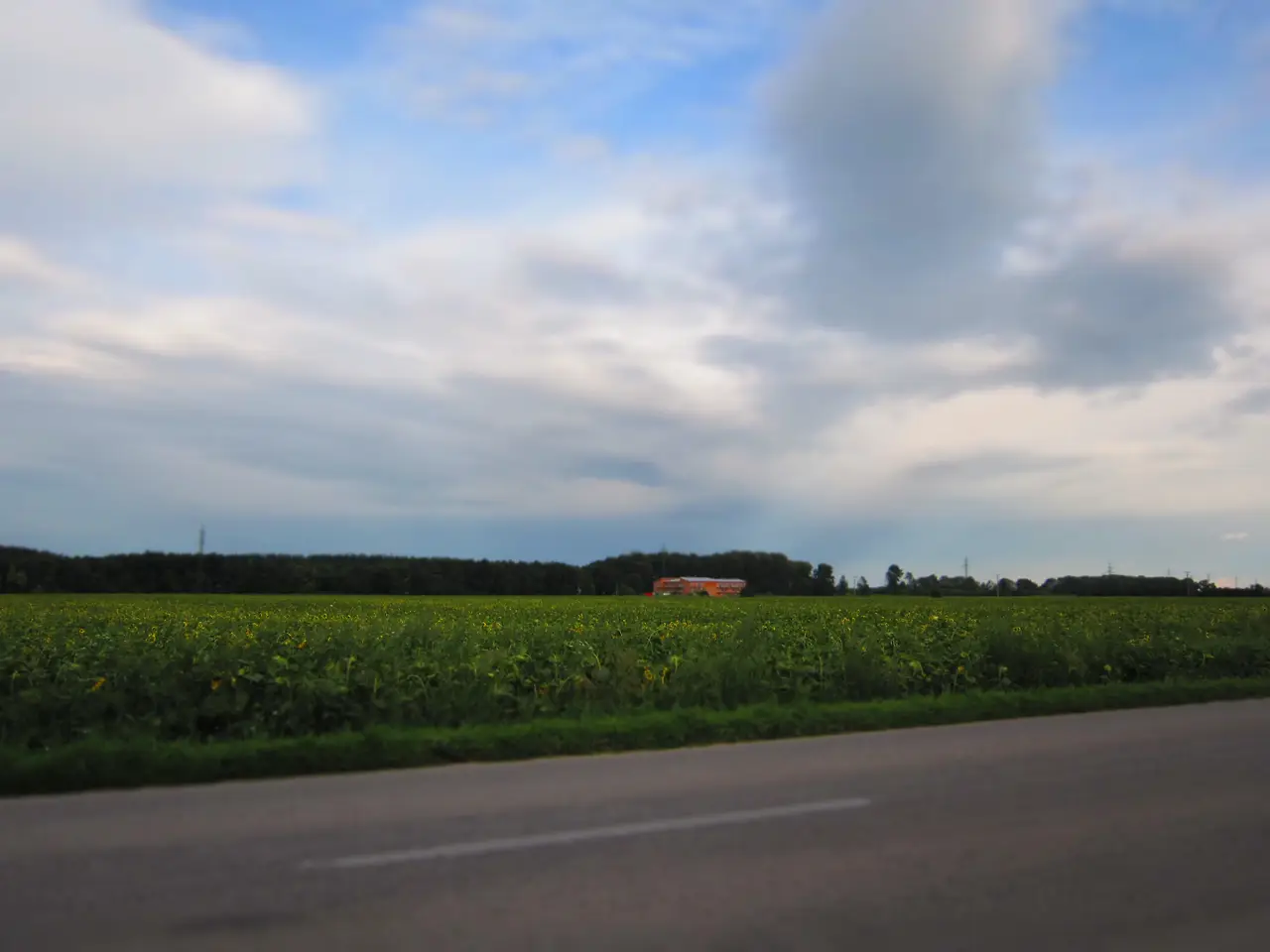 IMG_0018[1]-3 (1).JPG