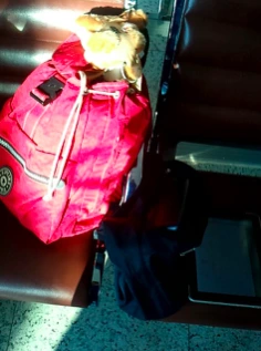 스크린샷 2015-06-11 오후 3.53.15.png