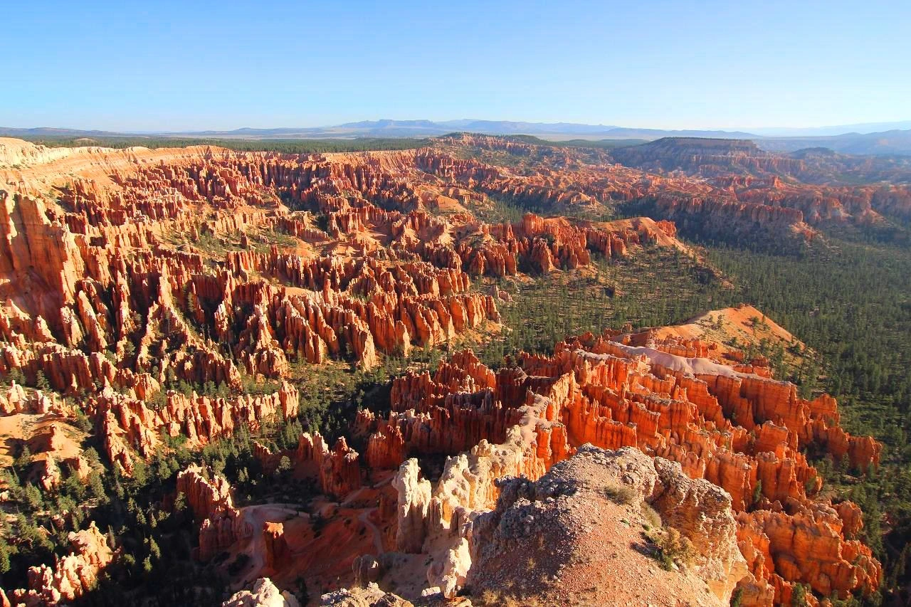 9sUlX34QXE1JvrgvzNXNtmnO_6Q