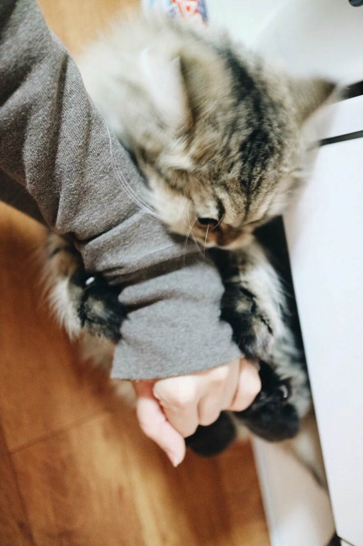 NaverBlog_20151110_215957_06.jpg?type=w2