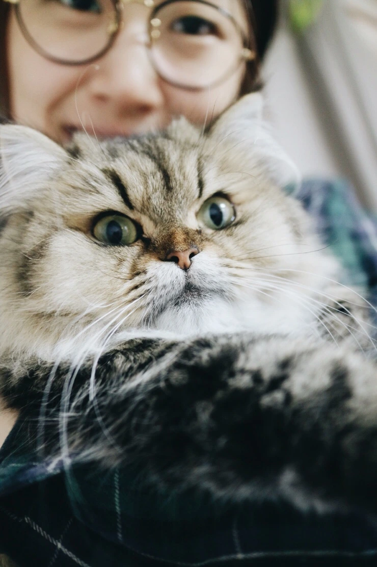 NaverBlog_20151023_152428_06.jpg?type=w2