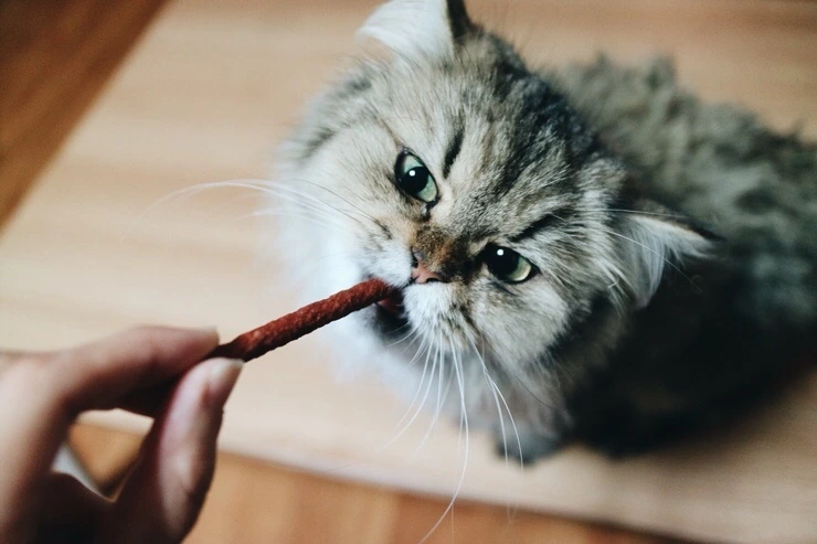 NaverBlog_20151110_221826_21.jpg?type=w2