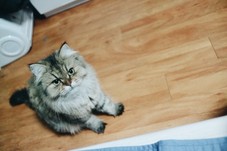 NaverBlog_20151023_152425_01.jpg?type=w2