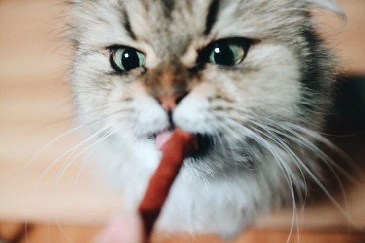 NaverBlog_20151110_221822_17.jpg?type=w2