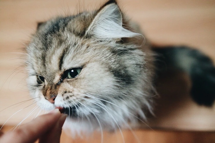 NaverBlog_20151110_221823_18.jpg?type=w2