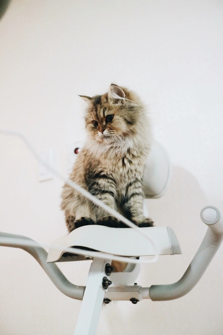 NaverBlog_20151110_215946_00.jpg?type=w2