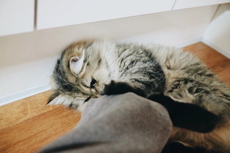 NaverBlog_20151110_215949_02.jpg?type=w2