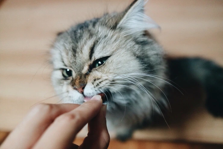 NaverBlog_20151110_221824_19.jpg?type=w2