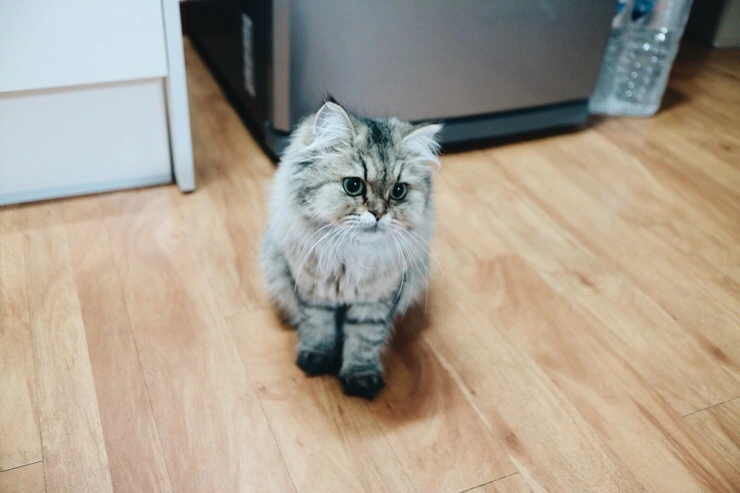 NaverBlog_20151023_152427_04.jpg?type=w2