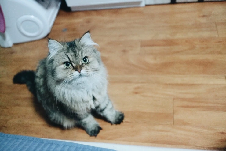 NaverBlog_20151023_152424_00.jpg?type=w2