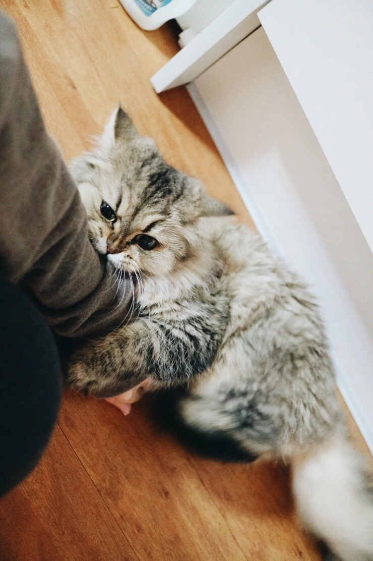 NaverBlog_20151110_215958_07.jpg?type=w2