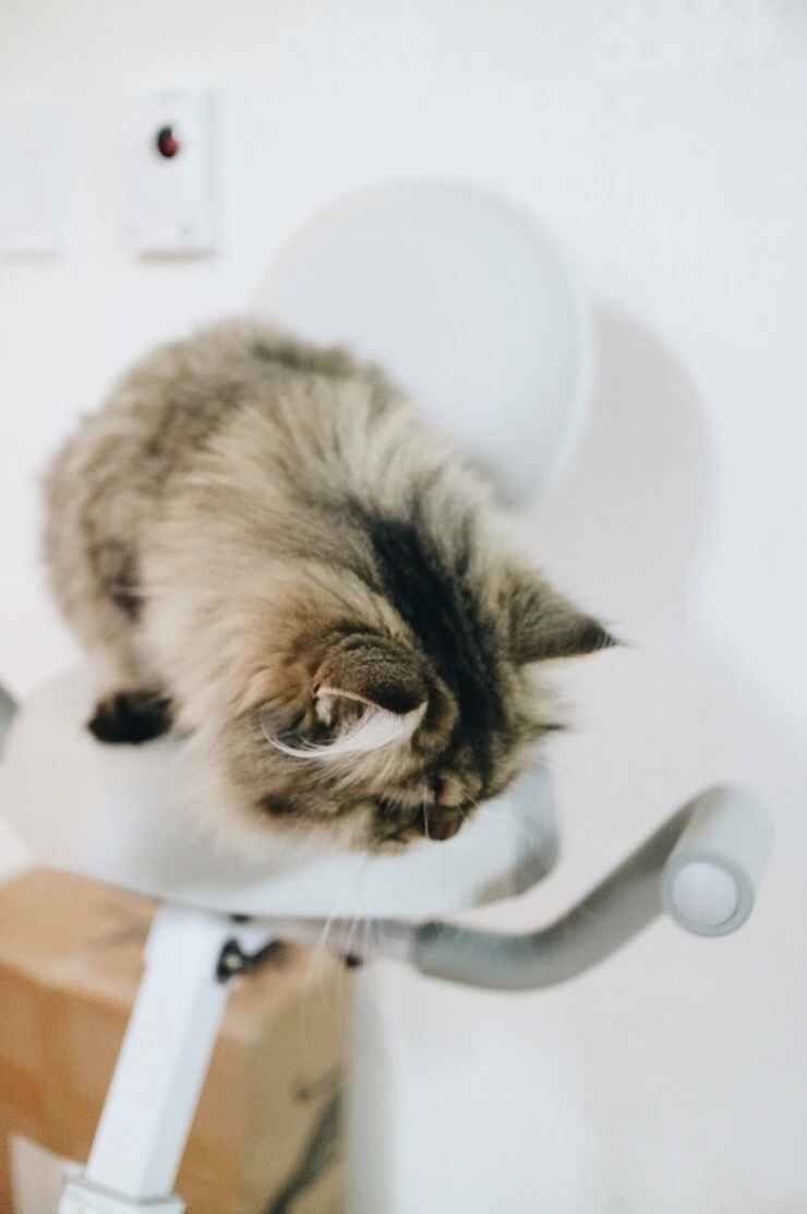 NaverBlog_20151110_215948_01.jpg?type=w2