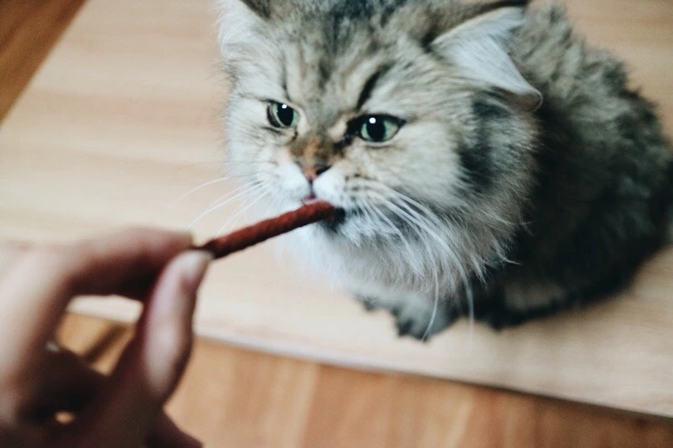 NaverBlog_20151110_221827_22.jpg?type=w2