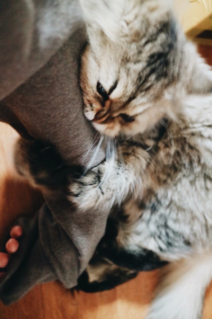 NaverBlog_20151110_215950_03.jpg?type=w2