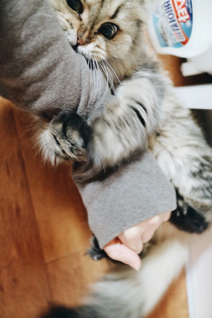 NaverBlog_20151110_215952_04.jpg?type=w2