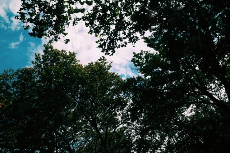 P20151017_130116000_2EB2747F-8860-42F7-9324-CFC8739B823C.JPG?type=w2